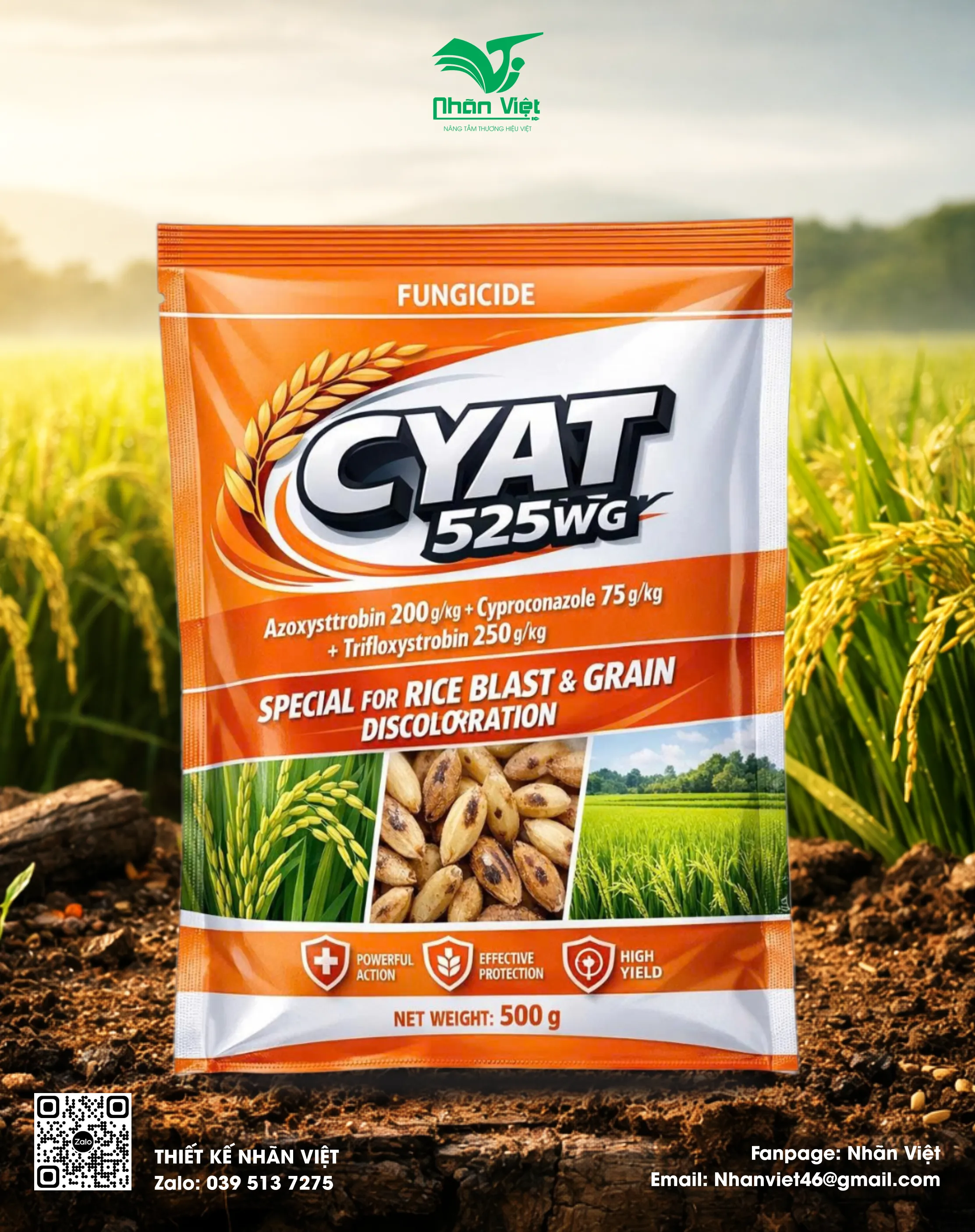 Nhãn mác & Bao bì